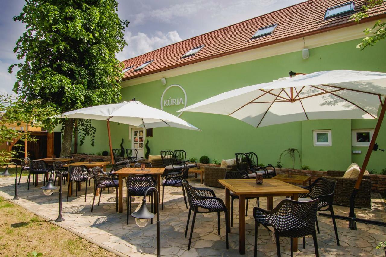 Penzion Kuria Nove Mesto nad Vahom Exterior photo