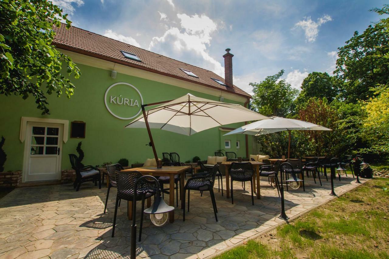 Penzion Kuria Nove Mesto nad Vahom Exterior photo