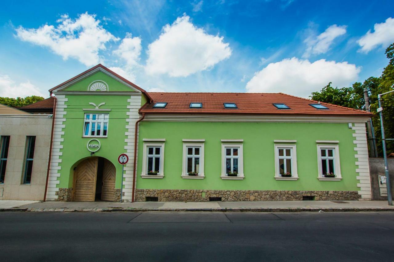 Penzion Kuria Nove Mesto nad Vahom Exterior photo